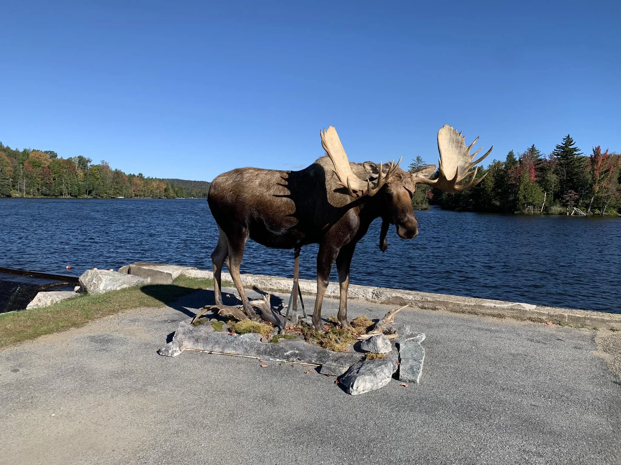 Uretrada sikish haqida porno video